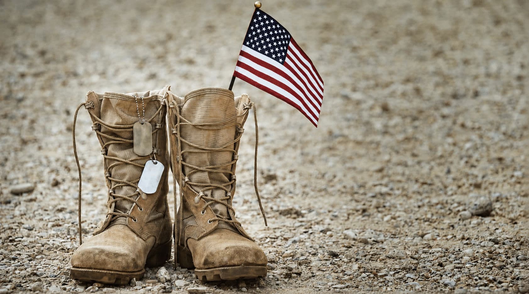 Project Honoring Those Who Gave Everything This Memorial Day image
