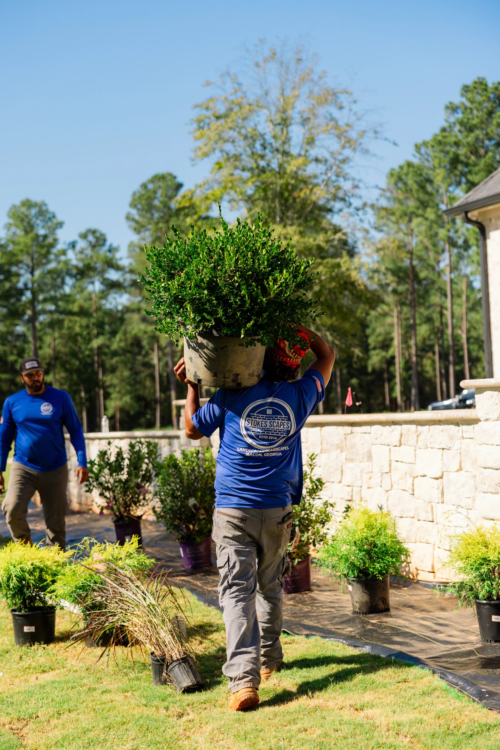 Gallery photos for Big Residential Landscape Install in Progress - Macon, Georgia: Image #3