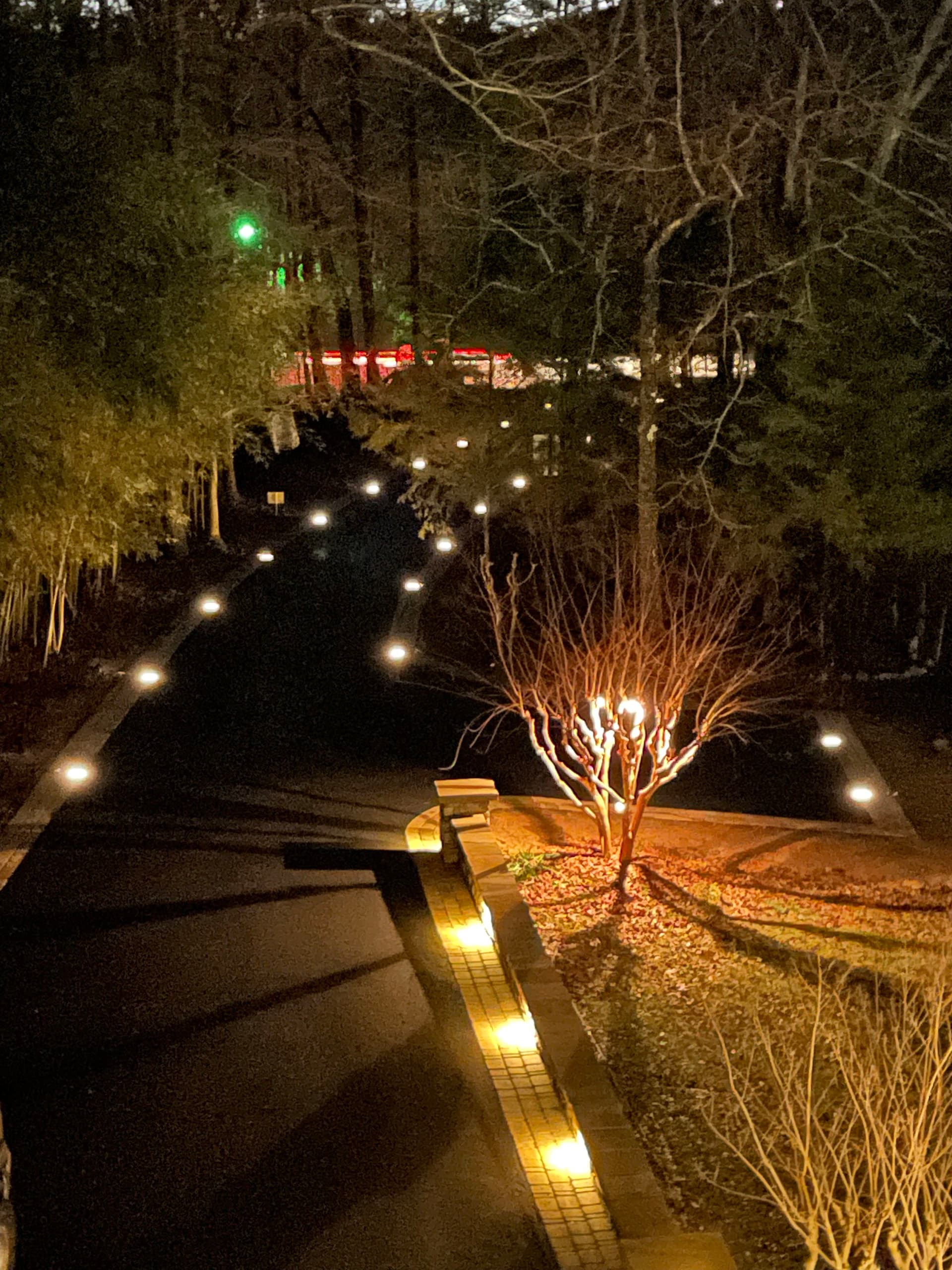 Low-Voltage Driveway Lighting That Actually Works After Dark image